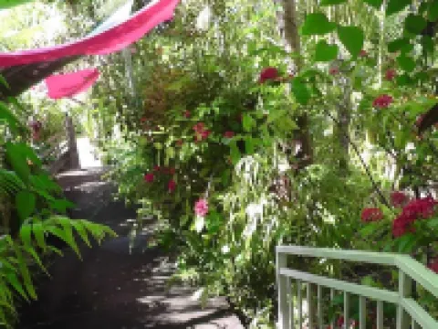 Pinpin d'Amour Hotels in Reunion