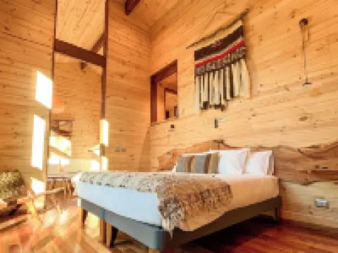 NI-Newen Hotel & Lodge Hoteles en Pucón