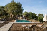 Fincahotel Treurer - Olive Grove & Grand House - Adults Only - Pools