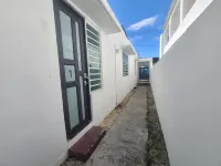 2019 Cacique by Stay with Bear