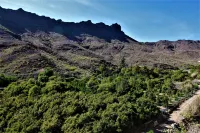 OPEN SKY VALLEY & CAR (PET ALLOWED)