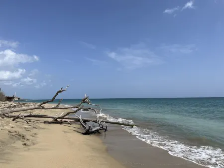 NEW! Island Vibes Beach Escape