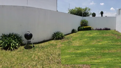 Beautiful Private house with huge GARDEN Hotels in Juriquilla