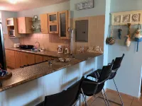 Costa del Mar 301A, a true beach getaway, WiFi, A/C, impressive views