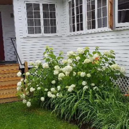 Lareau Farm Inn