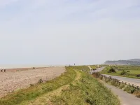 Ballyhandy Hotels in Winchelsea