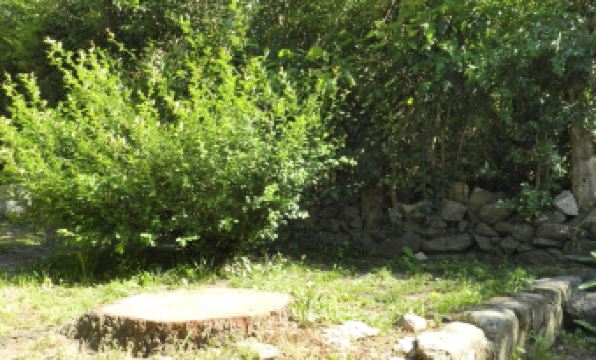 Agua de Oro Housing