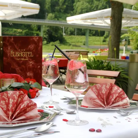 Elbhotel Bad Schandau