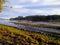 Pioneer Inn by the River Hotels in Port Hardy