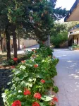Mountain Vista Resort