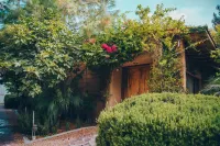 María & Bernardo Casa - Viñedo