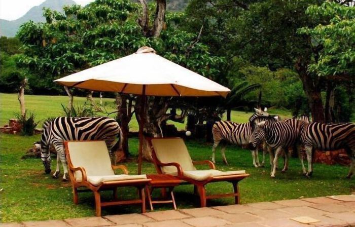 Blyde River Canyon Lodge