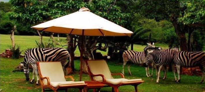 Blyde River Canyon Lodge Hotels in Mopani