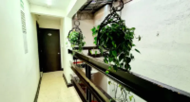 Hom Centro histórico