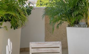 El Cactus Luxury Apartments in Historic Center