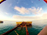 Infinity Pool w Ocean Views-CrashBoat Beach-Surfing-Snorkeling-Diving-Paradise