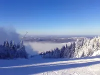 Motel Tremblant Hotels in Les Laurentides Regional County Municipality