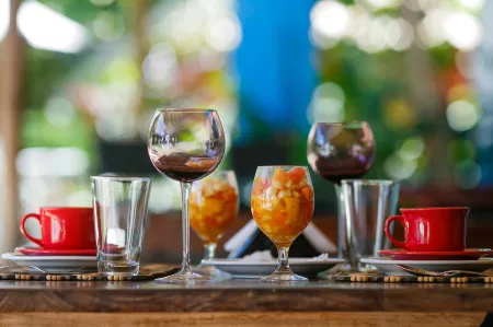 Pousada Raízes do Brasil