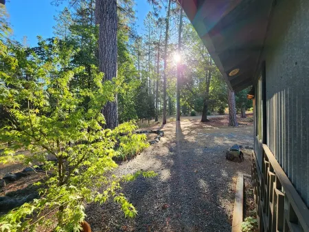 Forest Cottage Retreat