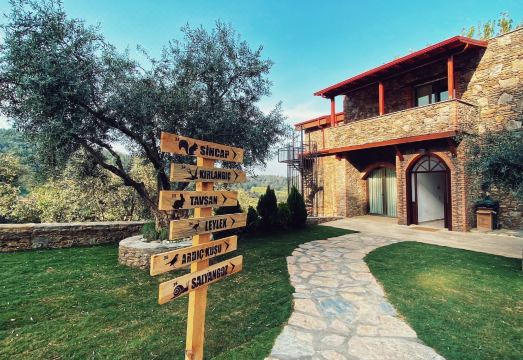 에페서스 리트릿