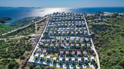 Angel Houses 1