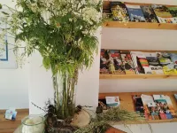 Hotel Sonne Hotels in Wolfach
