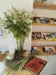 Hotel Sonne Hotels in Hornberg
