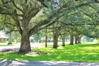 3/2 on 1 acre on main road close to Casinos, Restaurants & Plants!