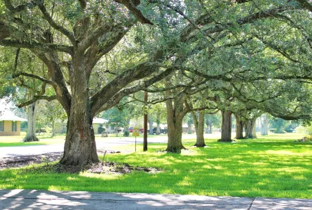 3/2 on 1 acre on main road close to Casinos, Restaurants & Plants! Отели в г. Калкасье Пэриш