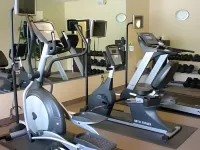 Fairfield Inn Richmond Chester - gimnasio