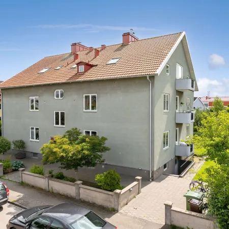 Måsalycke