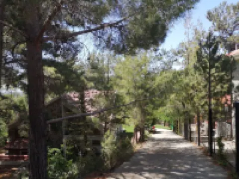 帕諾普拉特斯塞浦路斯的恩裏埃特別墅 - 全景山間度假屋