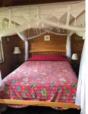 Peaceful and private cabin overlooking the Little Buffalo River.