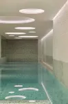 The Woodward, Auberge Collection - Pool