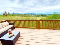 Pet Friendly cabin w/ fireplace and mountain views