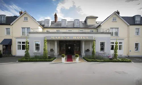 Marine Hotel Hotels in Dublin