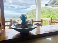 THE SEAVIEW Hotels in Castara