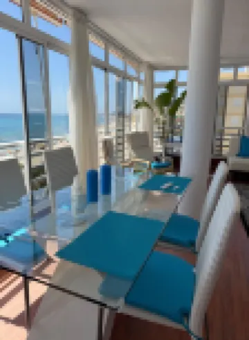 Relax under the palm trees