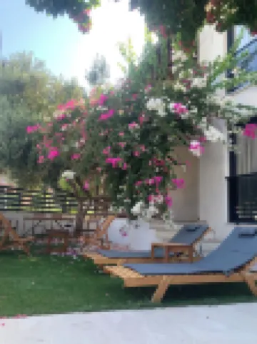 ลอริส รูมส์