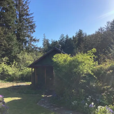 Charming 1-bedroom house surrounded by trees just outside tranquil Waldport