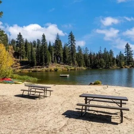 Bear Valley Village Family Ski Condo. Pet Friendly _Permit # 2025004
