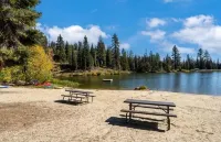 Bear Valley Village Family Ski Condo. Pet Friendly _Permit # 2025004