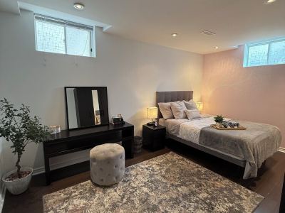 Spacious Entire Lower Level Suite