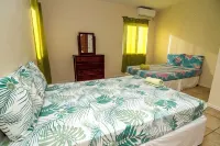 Ocean View Elegance Hotels in 