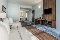 Comfort Inn & Suites Hotel a Vega Alta