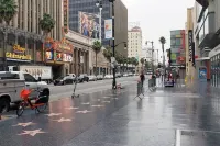 Modern and Cozy Apt in WEHO