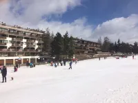 Holidays close to the slopes. Pra-Loup 1600