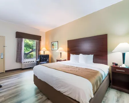 Quality Inn & Suites Rockingham Hotels in Rockingham