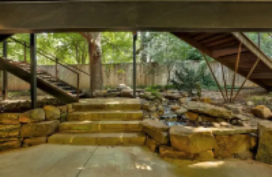 Elevated Stay at White Owl Creek