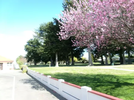 Napier Nest Motel Отели в г. Нейпир